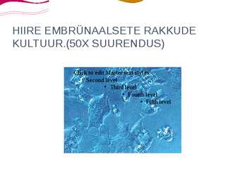Tüvirakkude kasutamine haiguste raviks #11