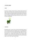 Maitsetaimed #5