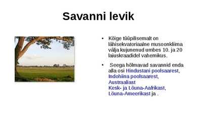 Savann #3