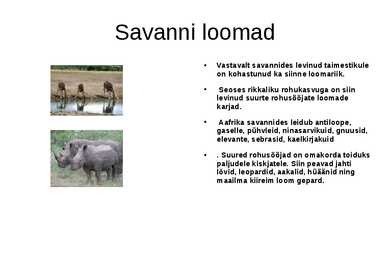 Savann #4