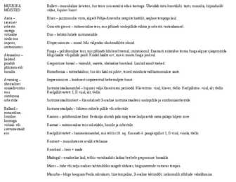 Muusika mõisted