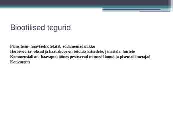 Haab #6