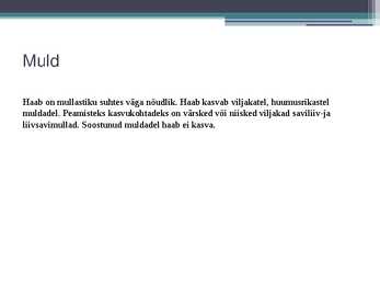 Haab #8