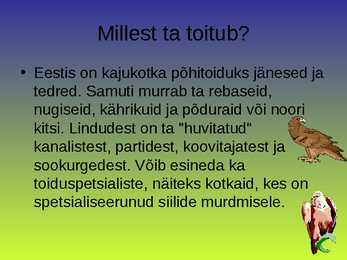 Kaljukotkas #5