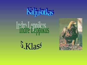Kaljukotkas