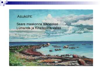 Vilsandi rahvuspark #2