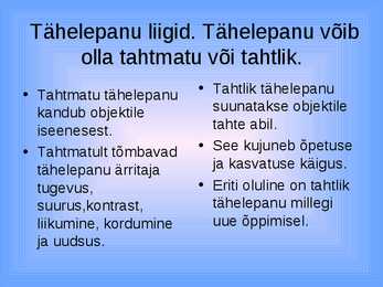 Tähelepanu #6