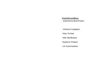 Kartulimardikas