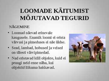Loomadepsühholoogia #2