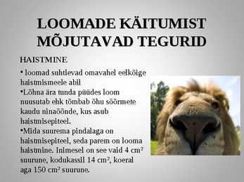 Loomadepsühholoogia #11