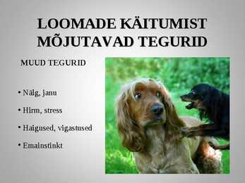 Loomadepsühholoogia #14
