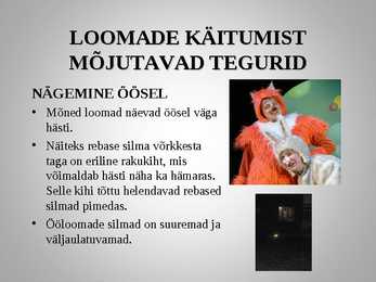 Loomadepsühholoogia #6