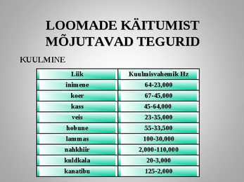 Loomadepsühholoogia #8