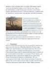 Romantism #5