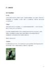 Geograafia referaat-lõuna-ameerika loomad #12