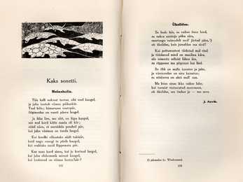 Noor-Eesti #13