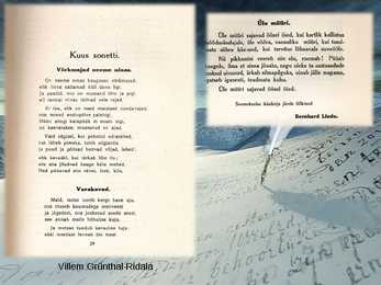 Noor-Eesti #14