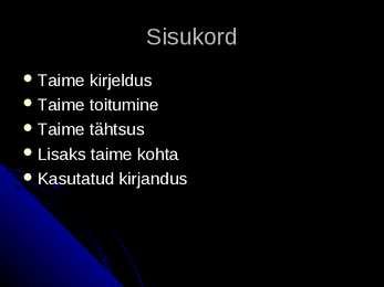 Soovõhk #2