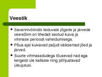 Savann #5