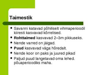Savann #8