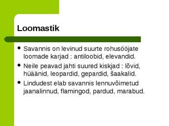 Savann #10