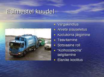 Korrashoiuturu areng Eestis #13