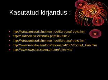 Presentatsioon rootsi #8