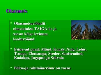 Okasmets #2