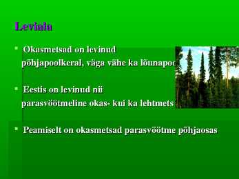 Okasmets #3