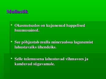 Okasmets #5