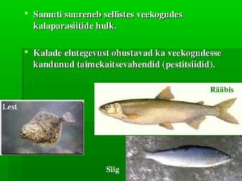 Eesti loomastik #15