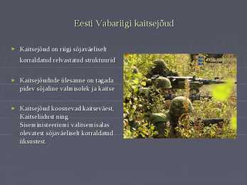 Eesti vabariigi kaitsejõud #4