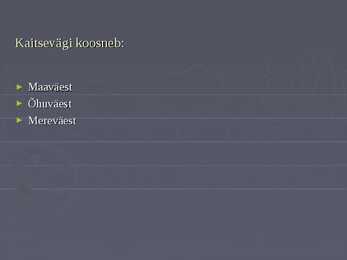 Eesti vabariigi kaitsejõud #7