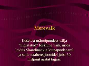 Merevaik #2