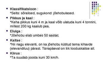 Slaidishow Jõehobudest #4