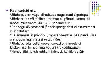 Slaidishow Jõehobudest #6