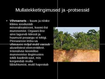 Pedosfäär #12