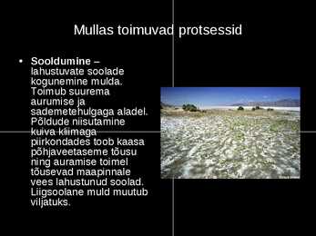 Pedosfäär #9