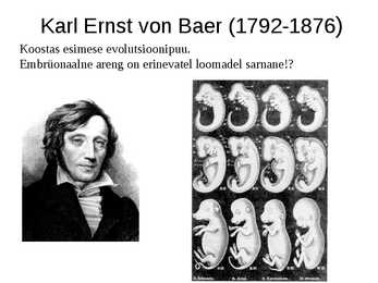 Evolutsiooni kujunemine #17