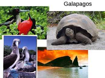 Evolutsiooni kujunemine #23