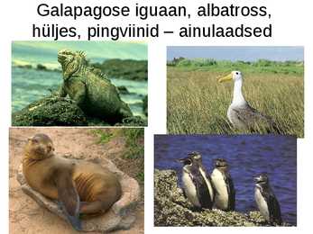 Evolutsiooni kujunemine #24