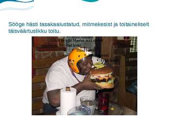 Toidulisandid #7