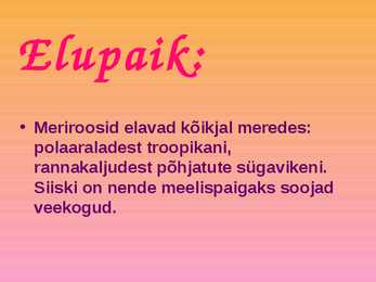 Meriroosid #2