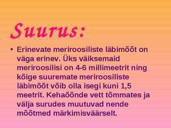 Meriroosid #5