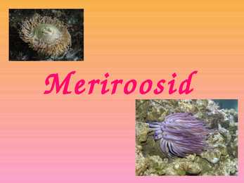 Meriroosid