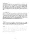 Iris Murdoch-Must prints #11