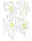 Haigused #4