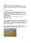 Madalsoo referaat #4