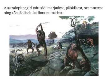 Inimese evolutsioon #3