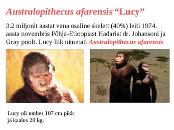 Inimese evolutsioon #4